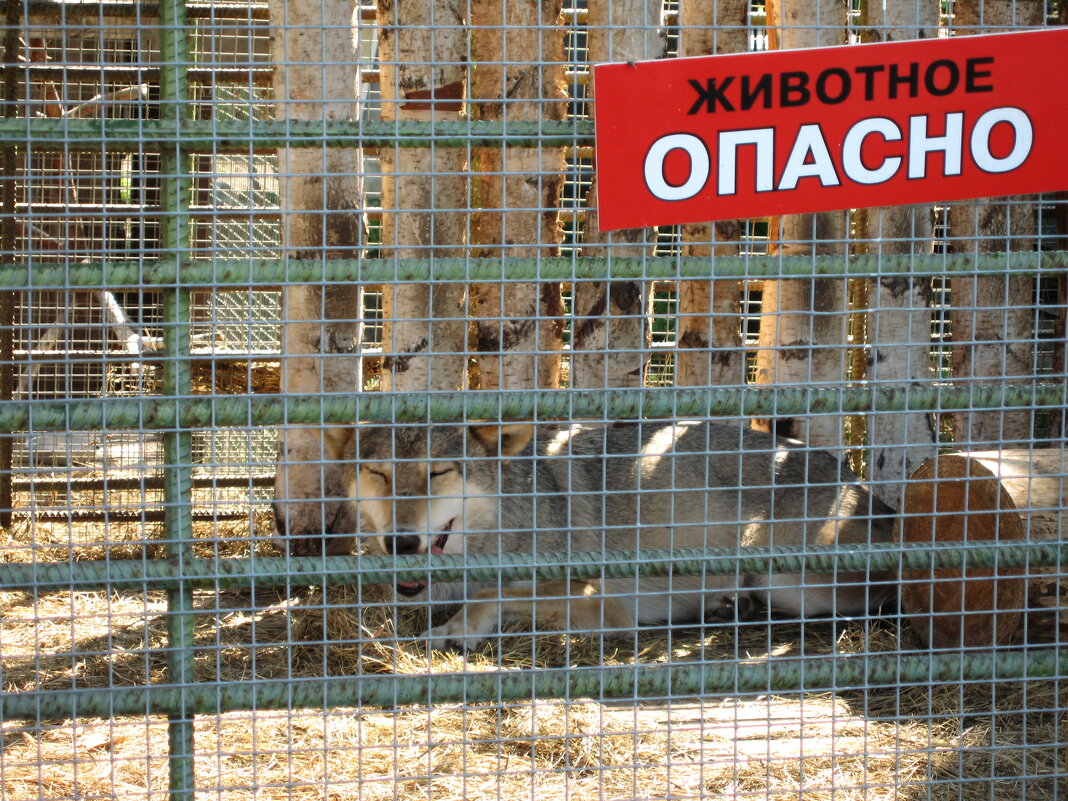 Очень опасно!) - Дмитрий Петров