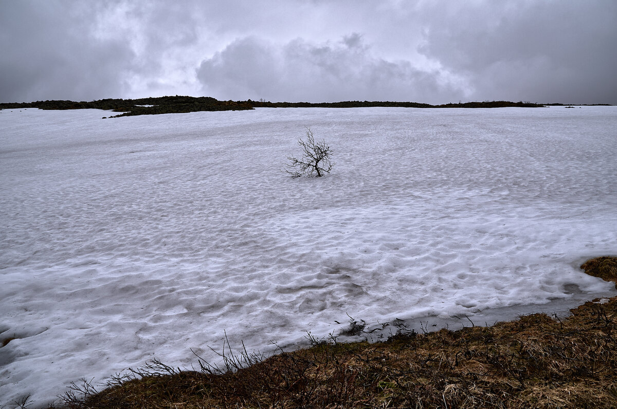 Одиночество. - Юрий кот