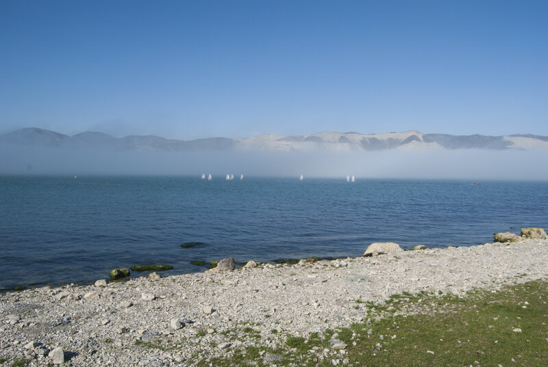 Туман дад бухтой - Александр 