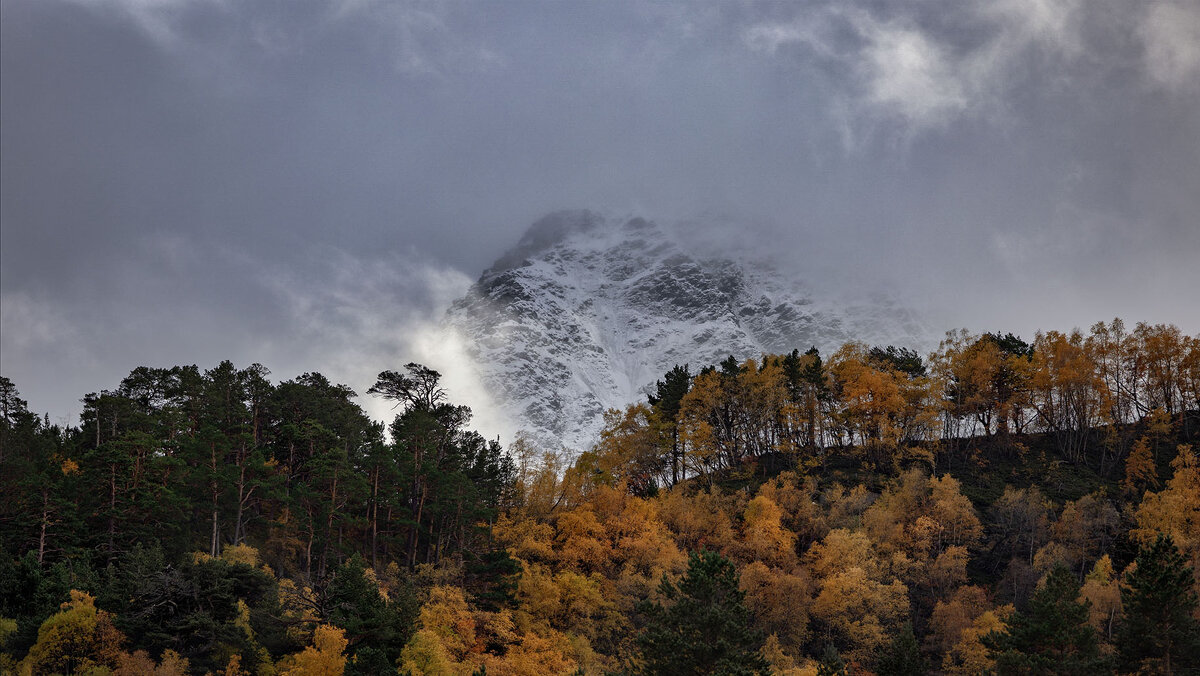 Осень. - olegdanilhenko Олег Данильченко Осень. - olegdanilhenko Олег Данильченко