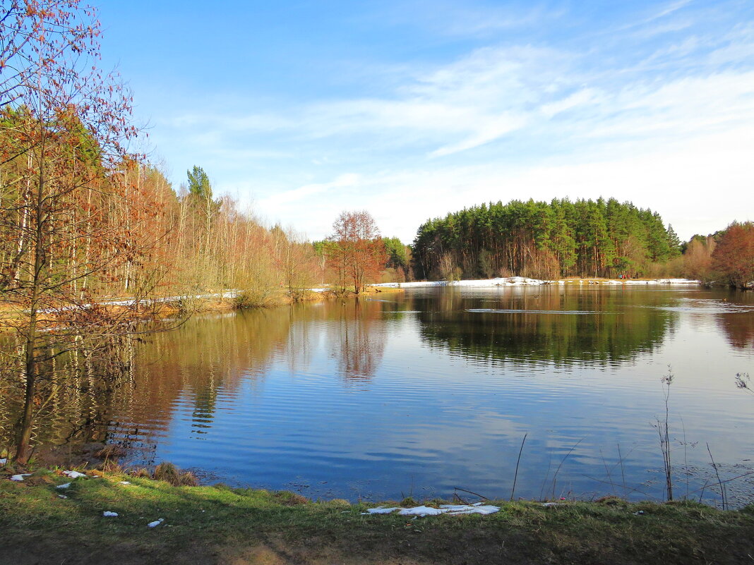 Вид на пруд - Андрей Снегерёв Вид на пруд - Андрей Снегерёв