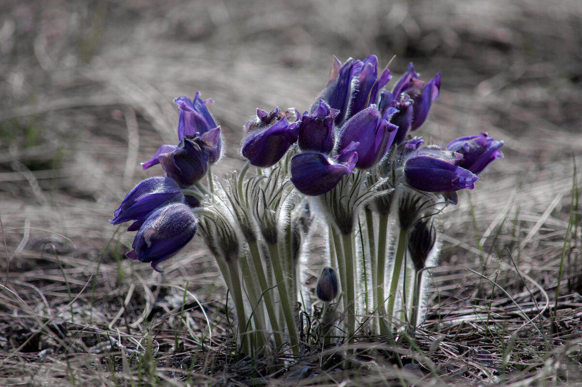 ... - Владимир Новиков ... - Владимир Новиков