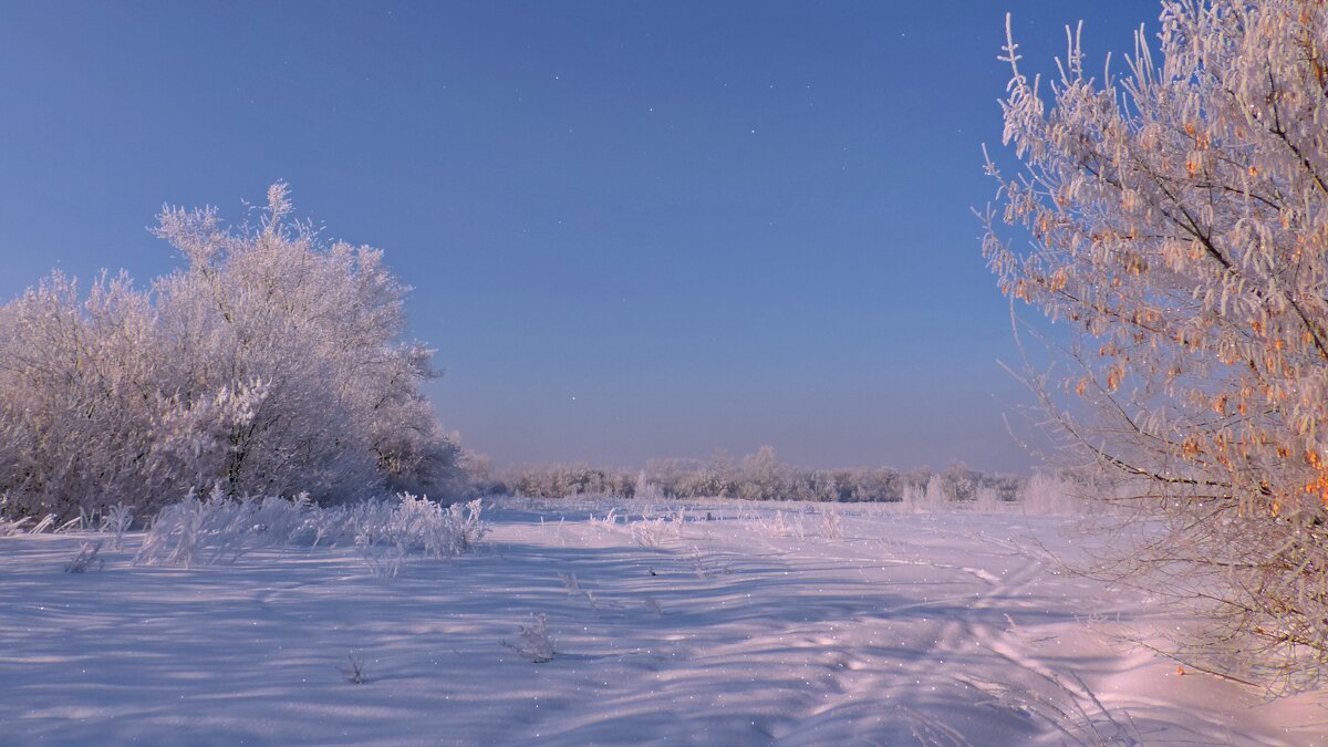 Зимняя весна. - Татьяна Нефедьева. 