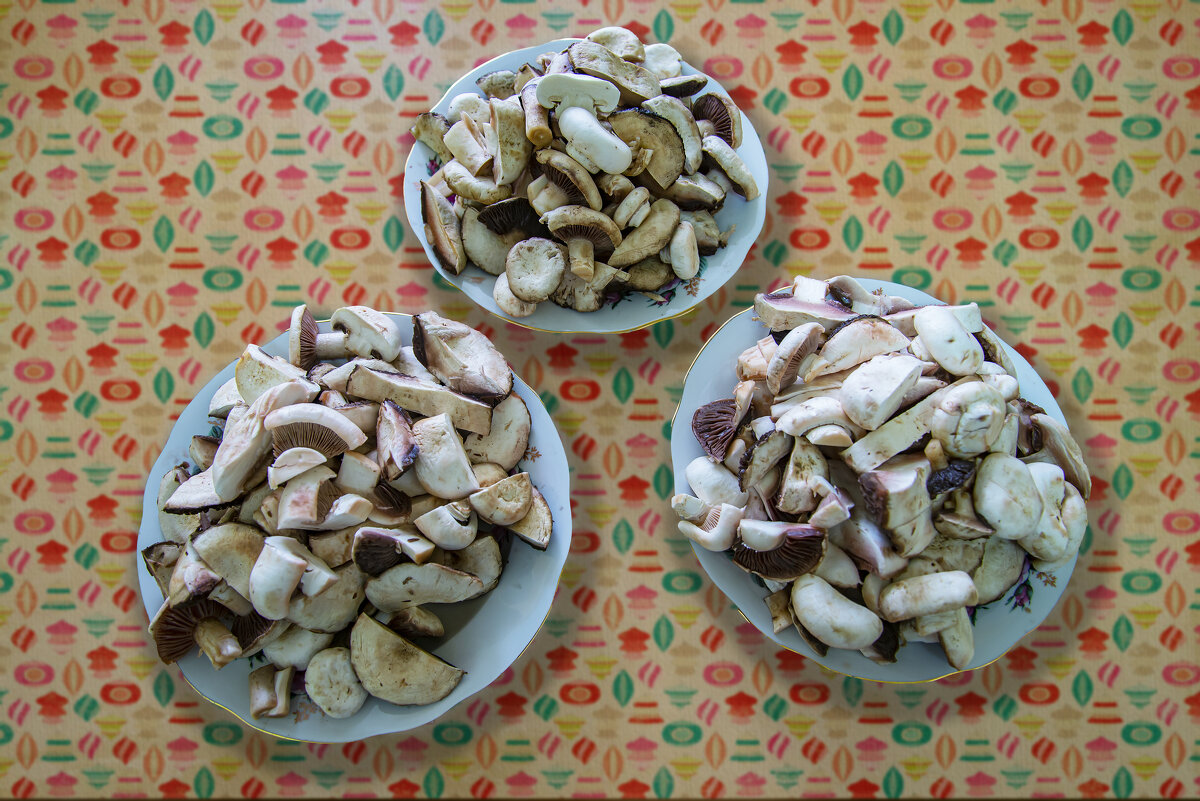 Дары степей мангыстау - Анатолий Чикчирный Дары степей мангыстау - Анатолий Чикчирный