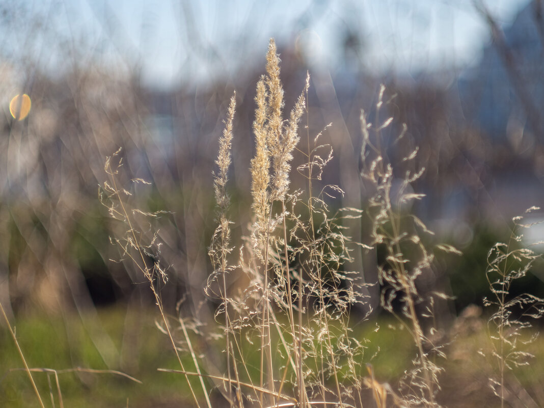 ___ - Yuriy V ___ - Yuriy V