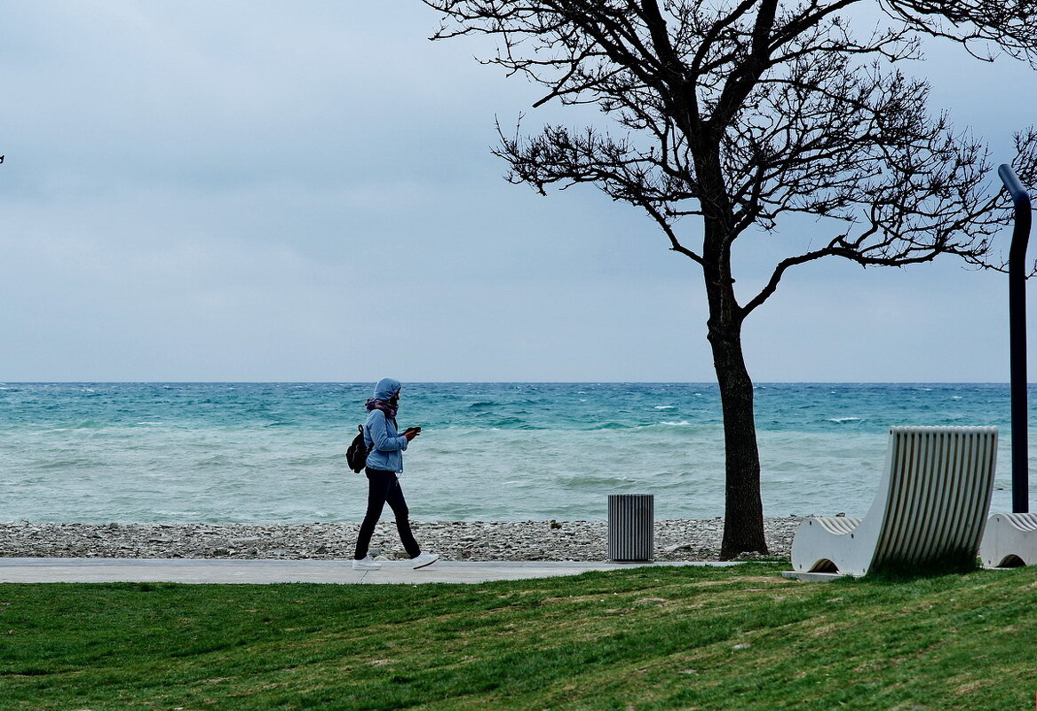 Прогулка в любую погоду... - Николай Саржанов