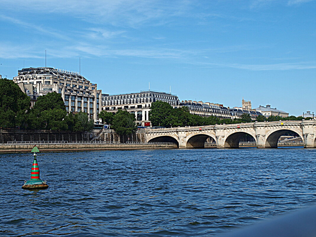 Париж. - Владимир Драгунский