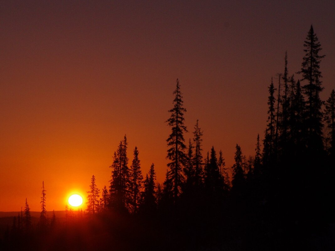 Рассвет - Сергей Швечков