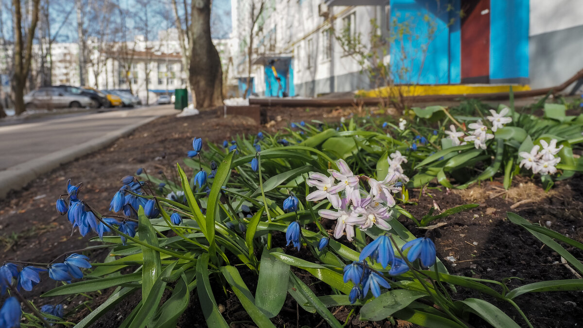 А у нас во дворе - юрий поляков А у нас во дворе - юрий поляков