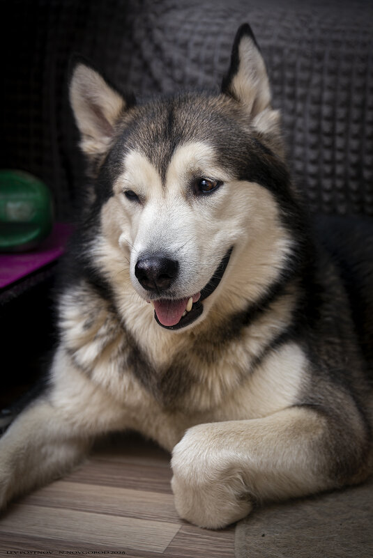 Ярик. - leff Postnov Ярик. - leff Postnov