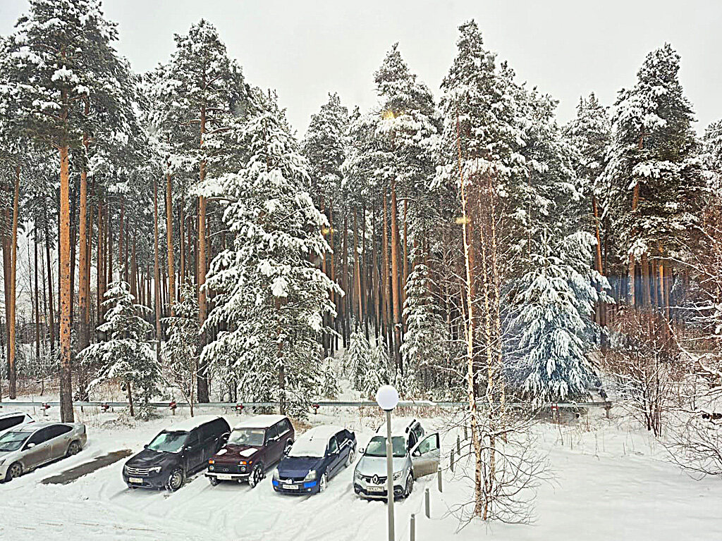 Вид из окна - Алевтина 