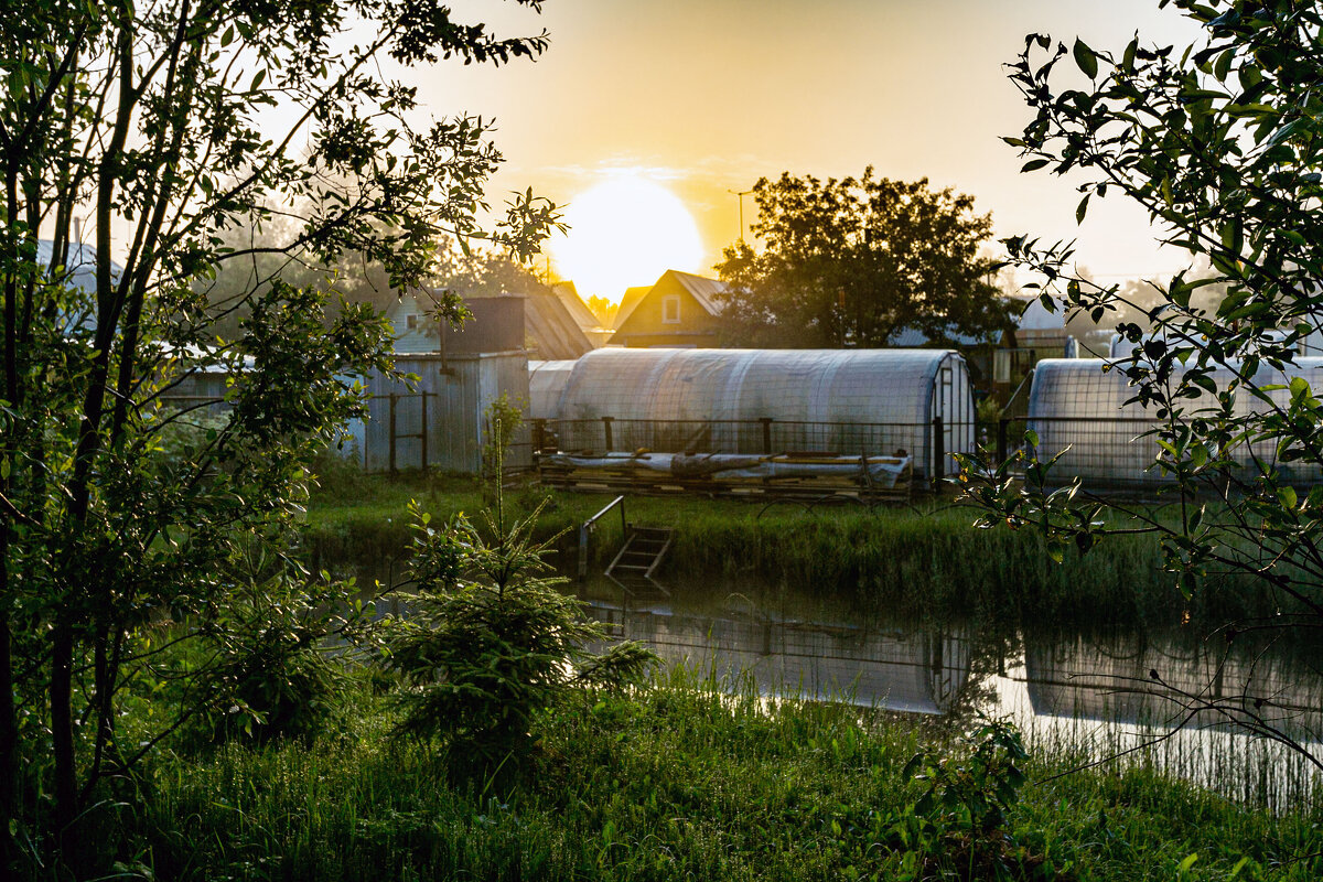 Дачное утро - Александр Силинский Дачное утро - Александр Силинский