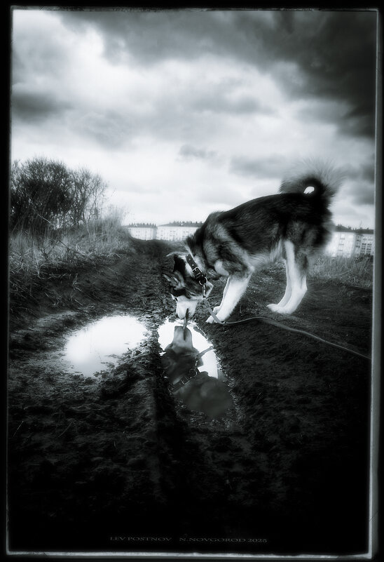 Ярик. Я как в зеркало... - leff Postnov Ярик. Я как в зеркало... - leff Postnov