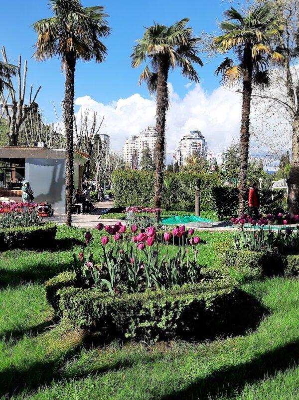 Ривьера - Tata Wolf