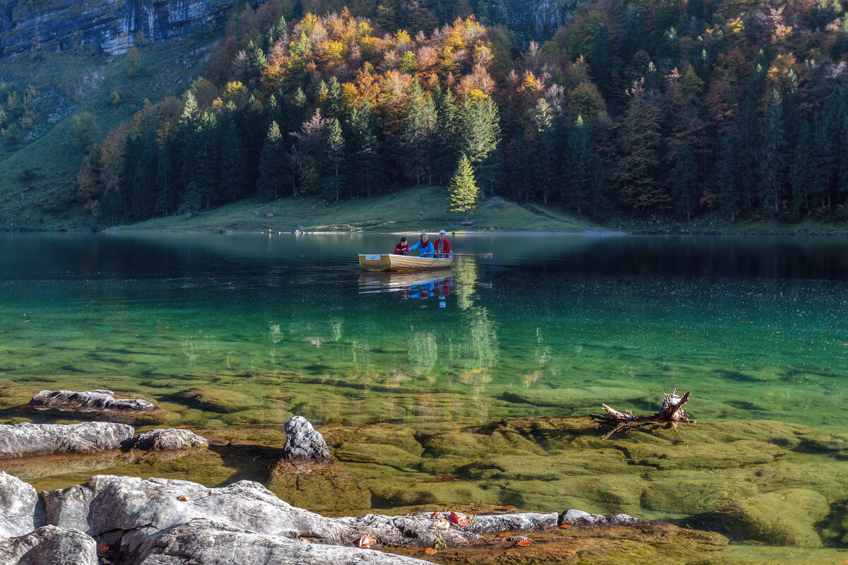Альпы - Владимир Колесников
