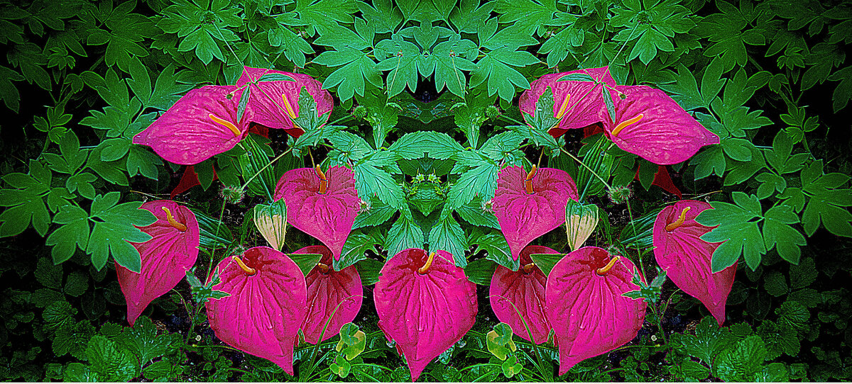 Фотозарисовка - Владимир Кроливец Фотозарисовка - Владимир Кроливец