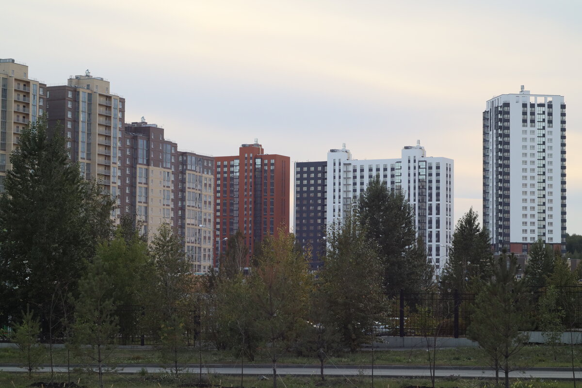 Новый микрорайон - Дмитрий Петров