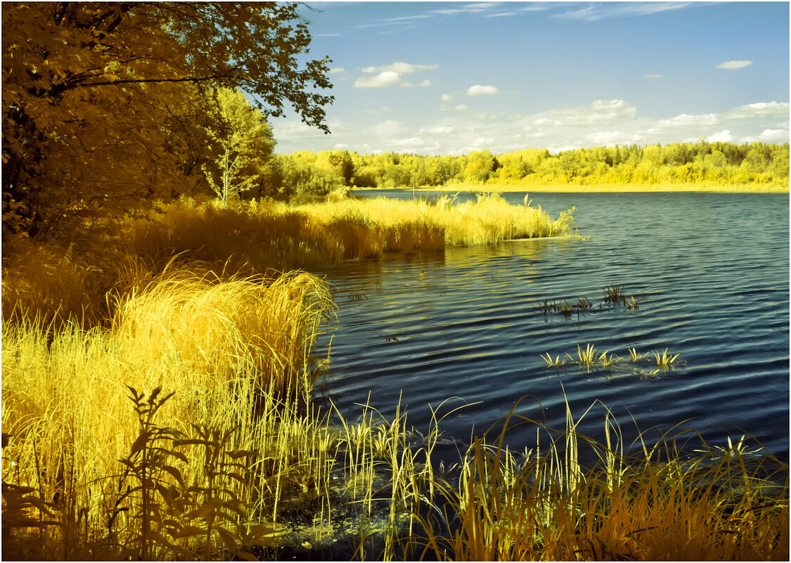 Инфракрасное лето ( фильтр 590нм ) - Валентин Котляров Инфракрасное лето ( фильтр 590нм ) - Валентин Котляров