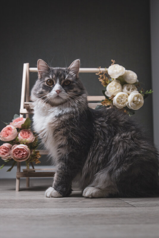 Девчуля - Олег Куб