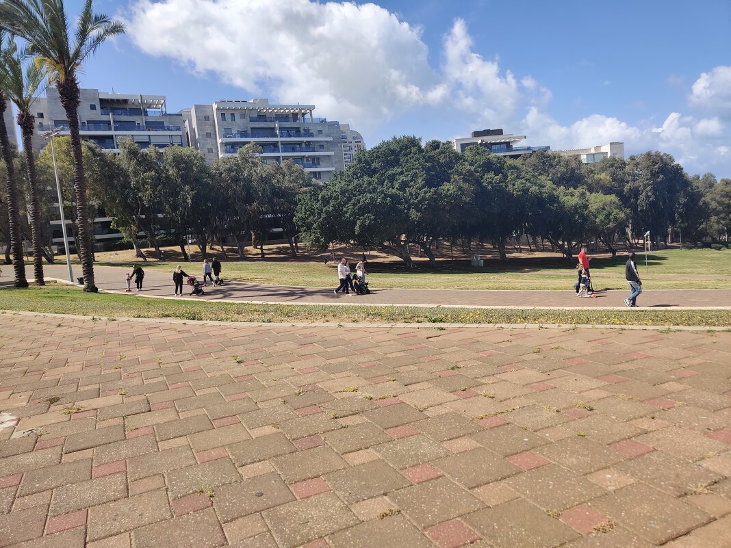 " - Светлана Хращевская