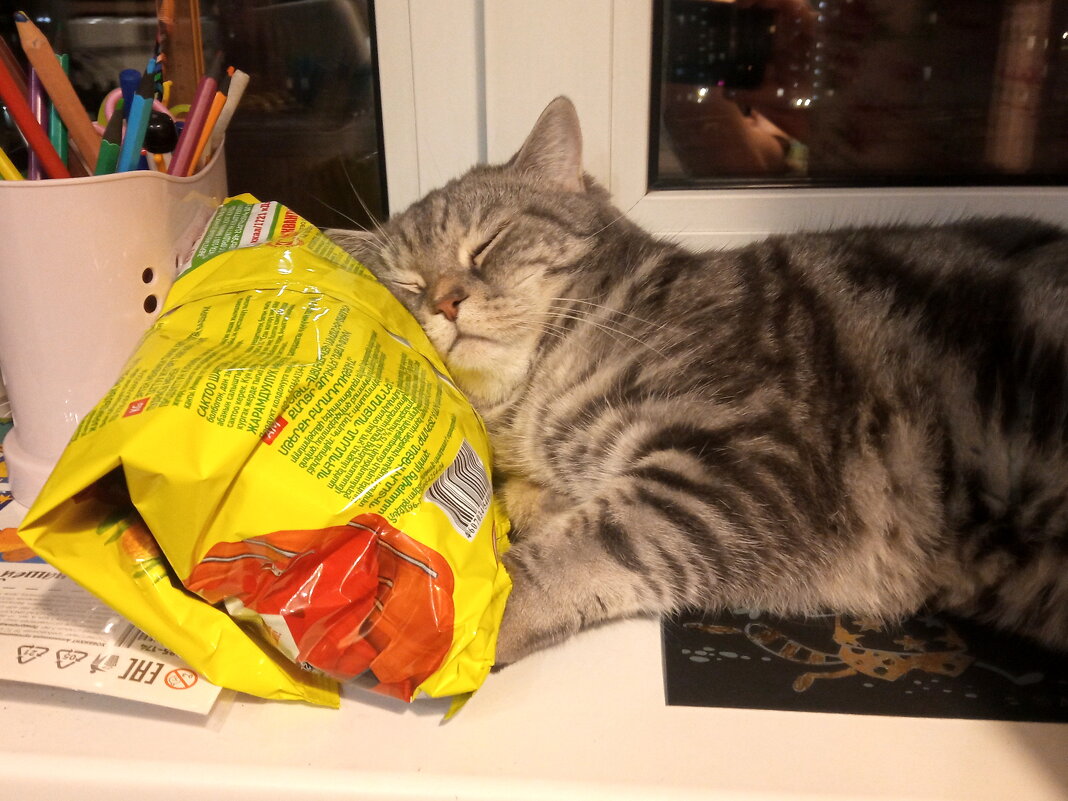 В любых условиях... - Павел Трунцев