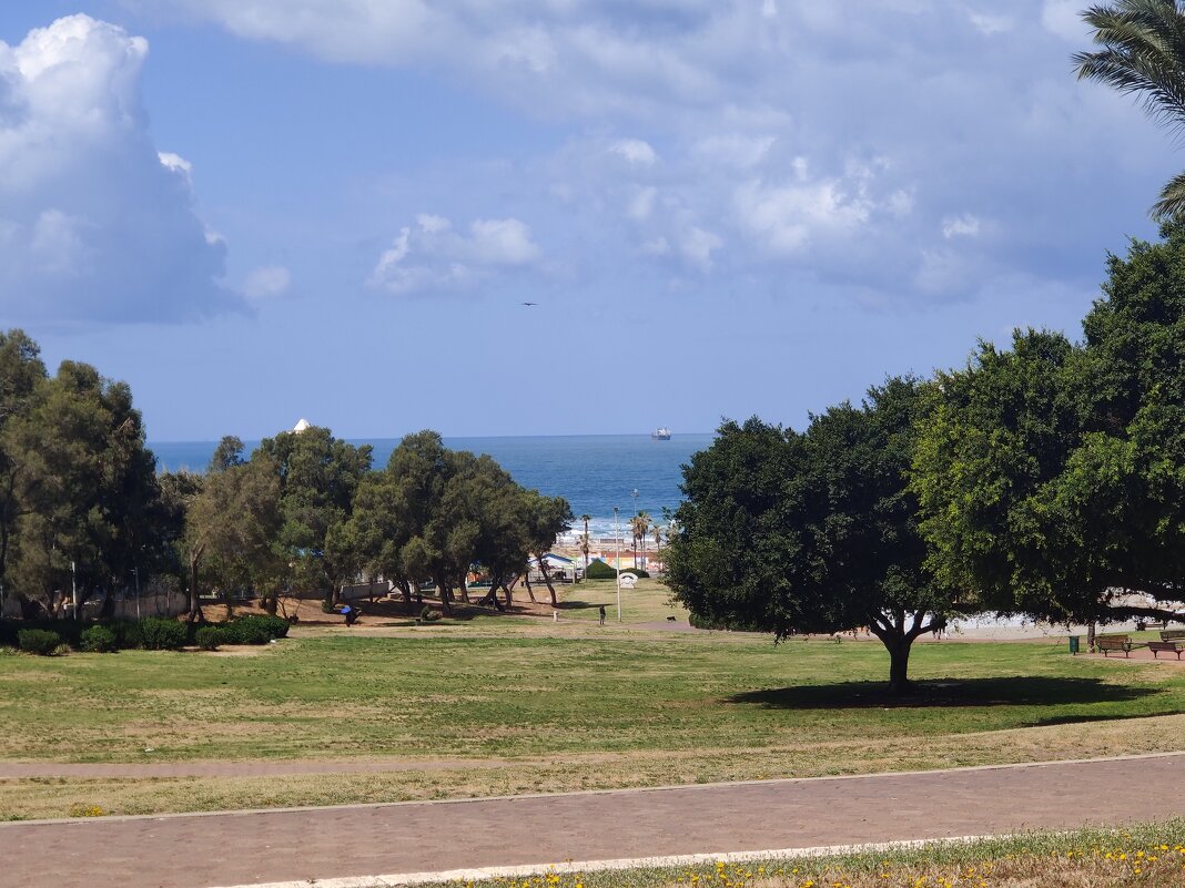 И море совсем близко. - Светлана Хращевская