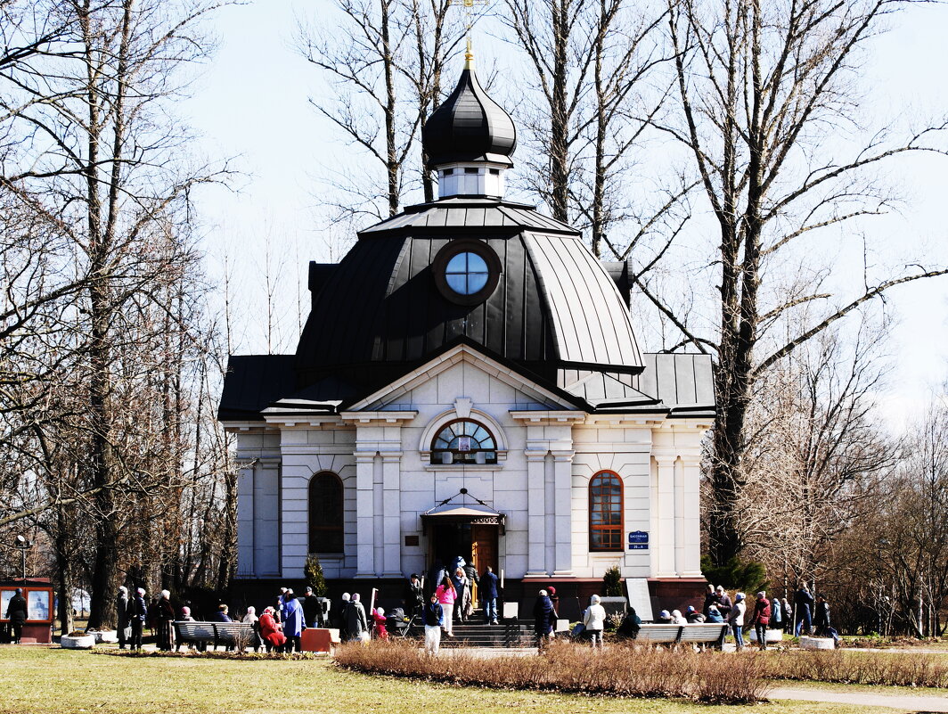 ВЕРБНОЕ - Виктор Никитенко