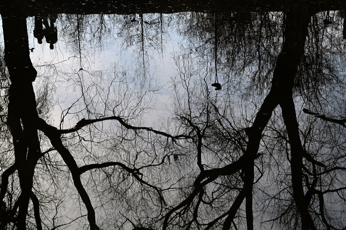 *** - Сергей Сергеев