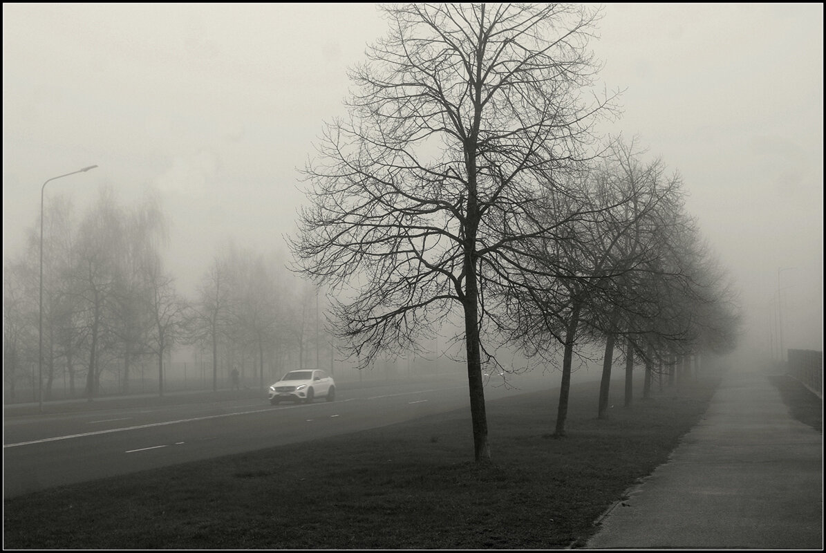 Ранним утром... - Aleksandr Gal