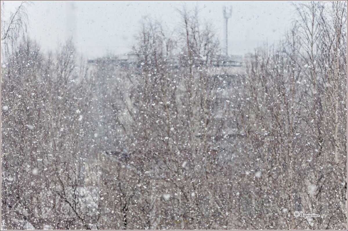 Прошлогодний снег... - Aquarius - Сергей