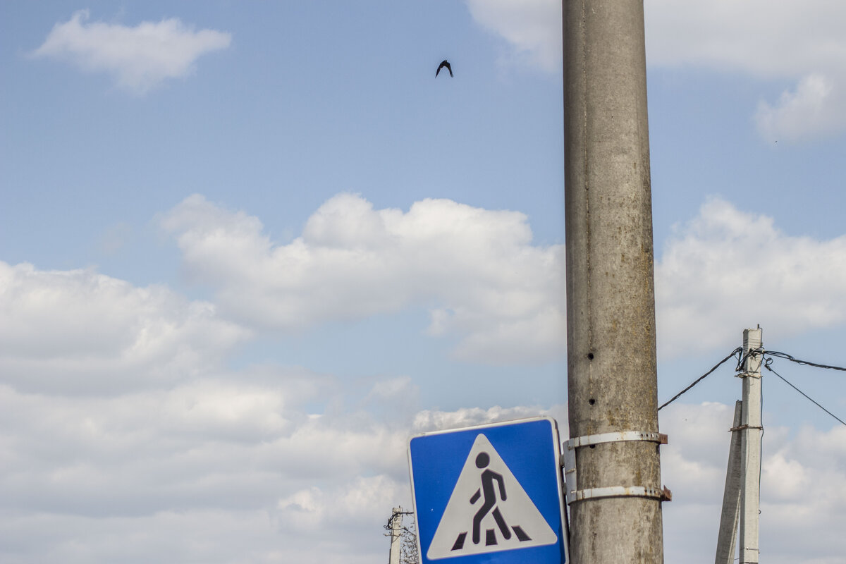 Пешеходный переход - Коля Лукашов