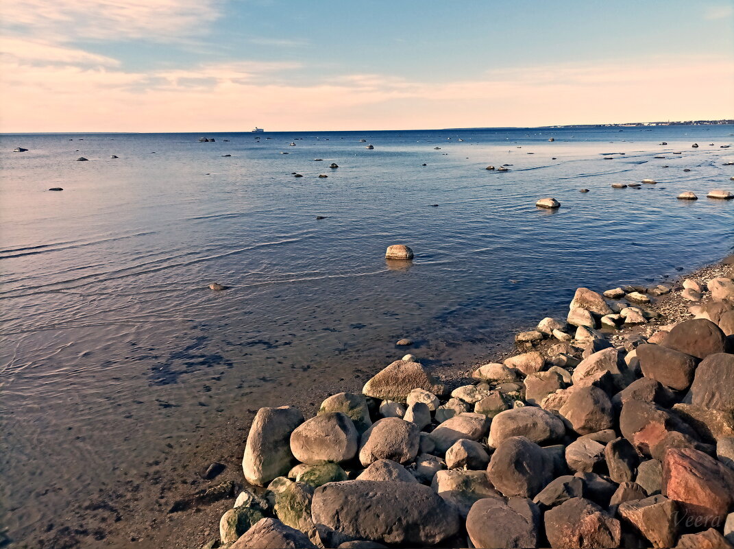 На берегу Таллинского залива - Veera V На берегу Таллинского залива - Veera V