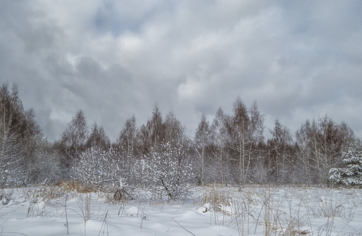 Про снежный апрель - Сергей Цветков Про снежный апрель - Сергей Цветков