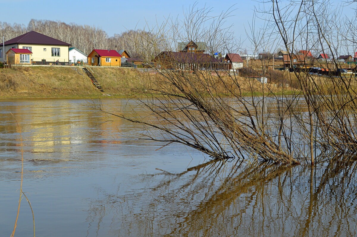 Иня в апреле - Татьяна Лютаева