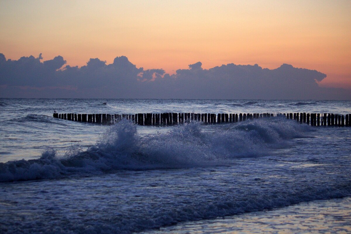 Предрассветная - Юрий. Шмаков