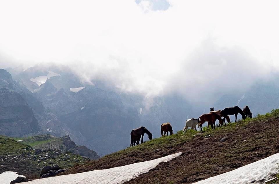 ПРОГУЛКА НА БОЛЬШОЙ ЧИМГАН - 2. - Виктор Осипчук