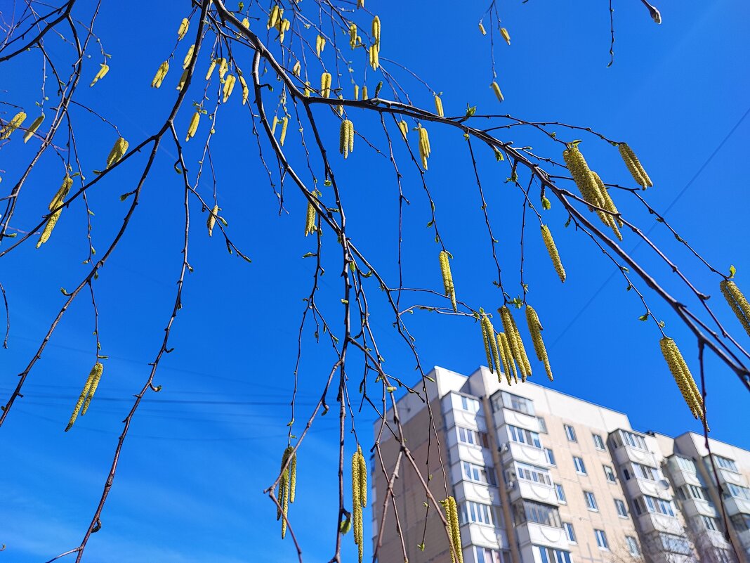 ... - Сергей Тимоновский