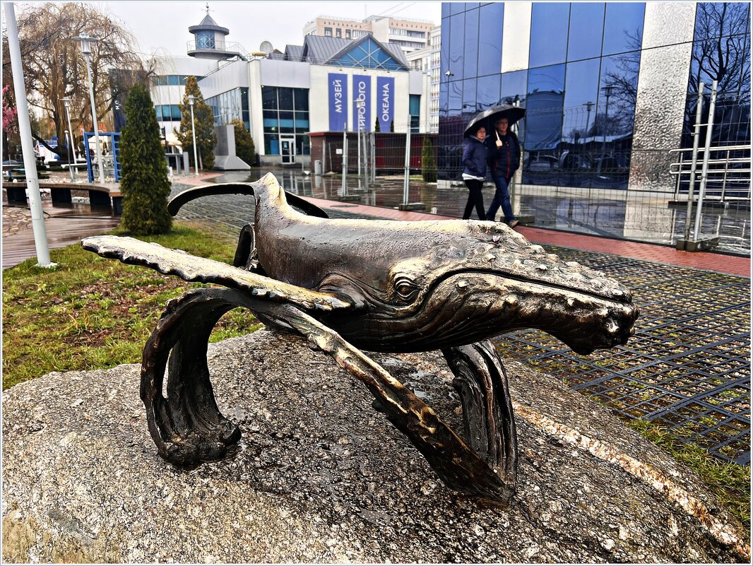 Новый экспонат Музея Мирового океана. Кит. - Валерия Комова