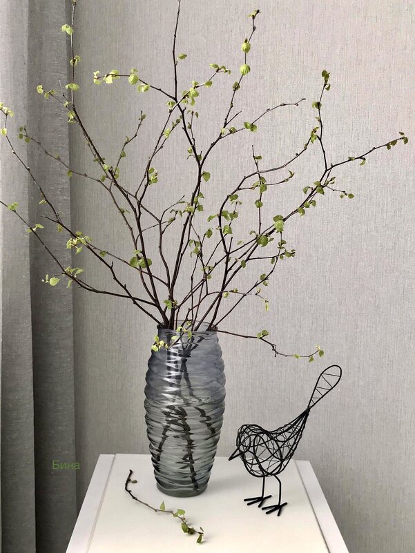 Весна) - Альбина 