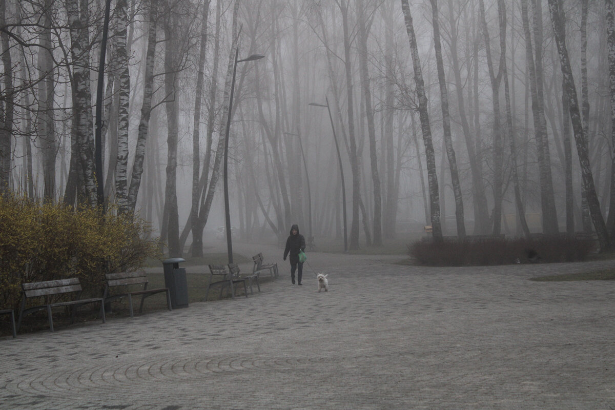 на прогулку - Aleksandr Gal