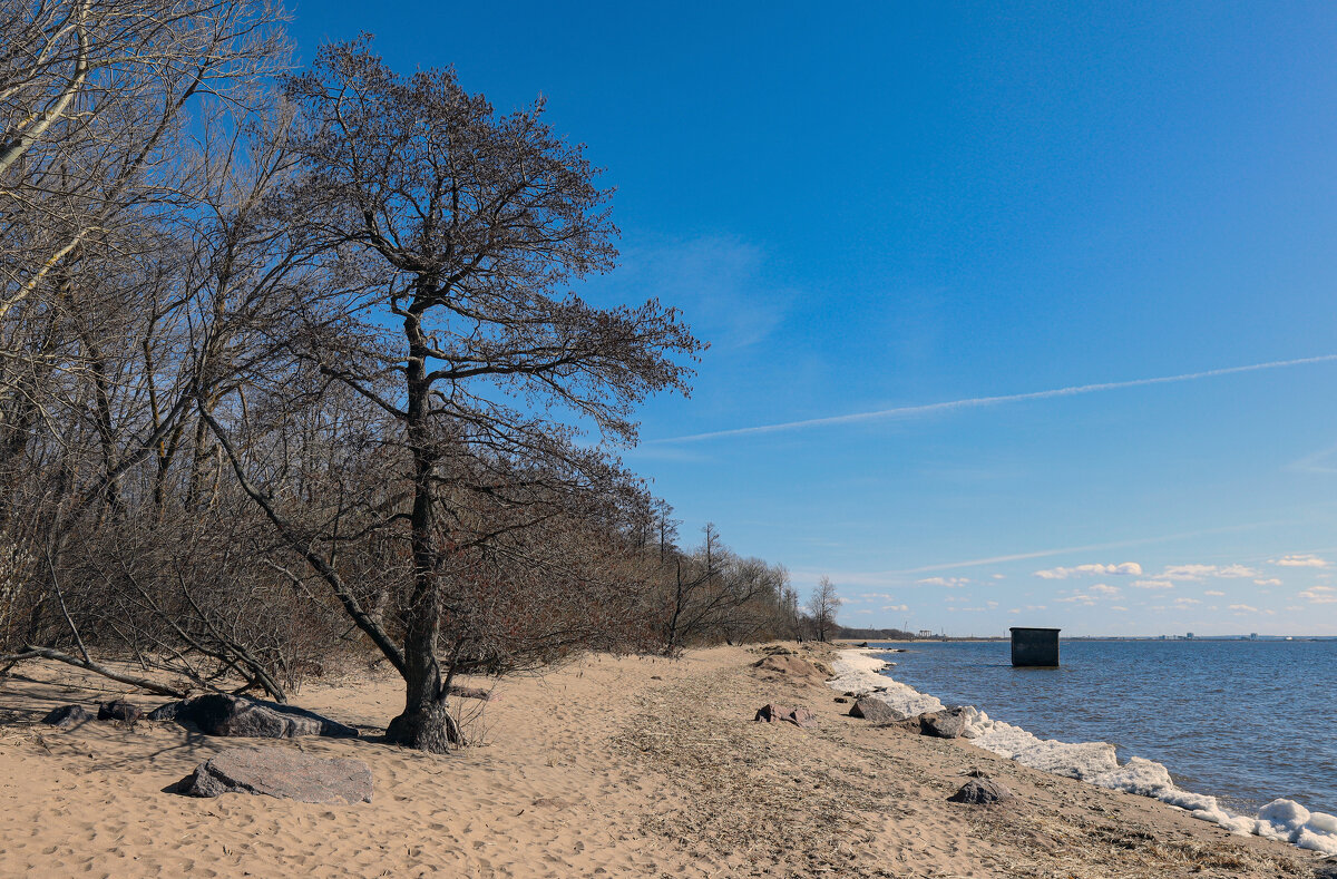 Западный Котлин - skijumper Иванов