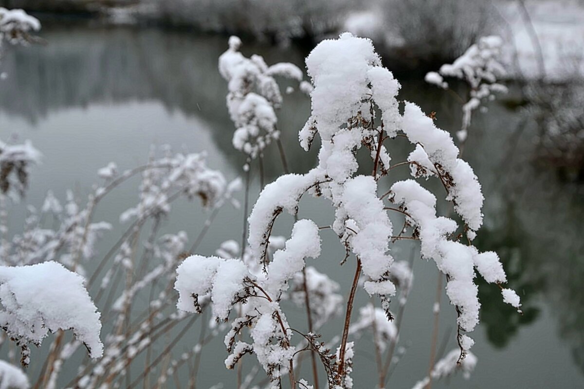Снег в апреле. - Михаил Столяров