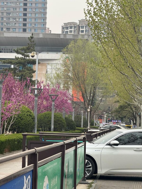 Весна в Китае - Ирэн 