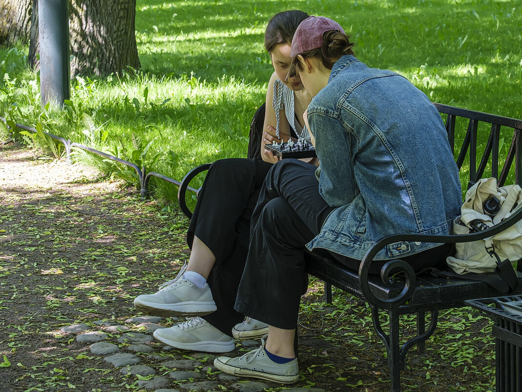 Игра в шахматы. - Александр Игра в шахматы. - Александр