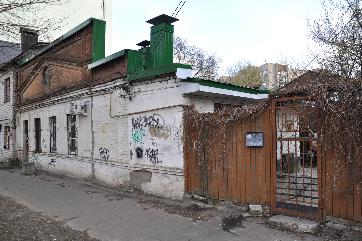 Частное владение на ул. Свободы 39 - Татьяна Машошина