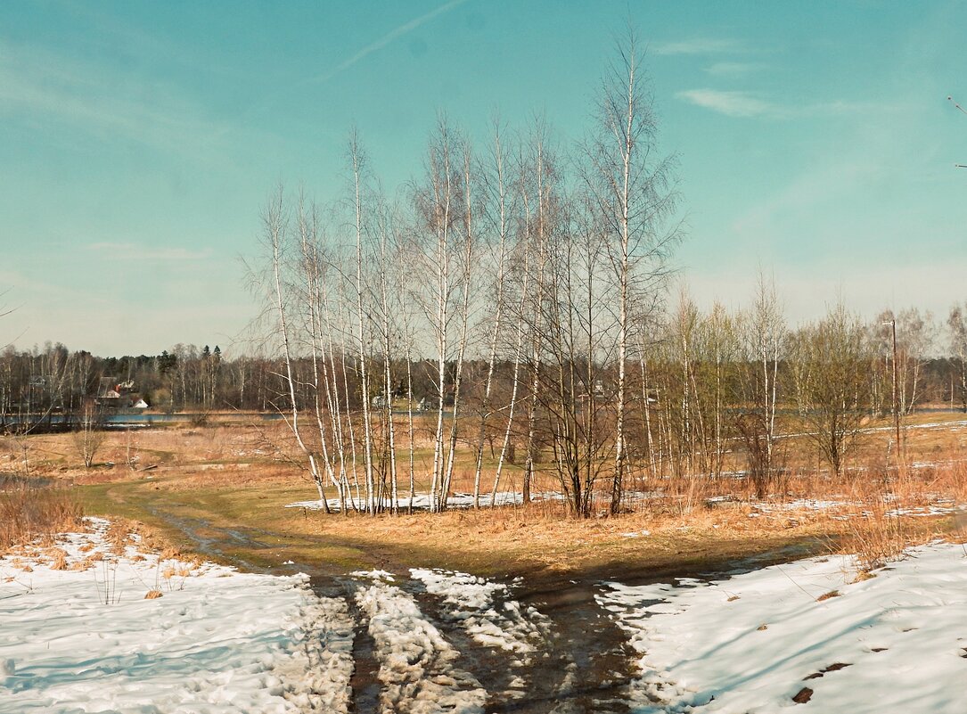 Весна на Клязьме - Леонид leo