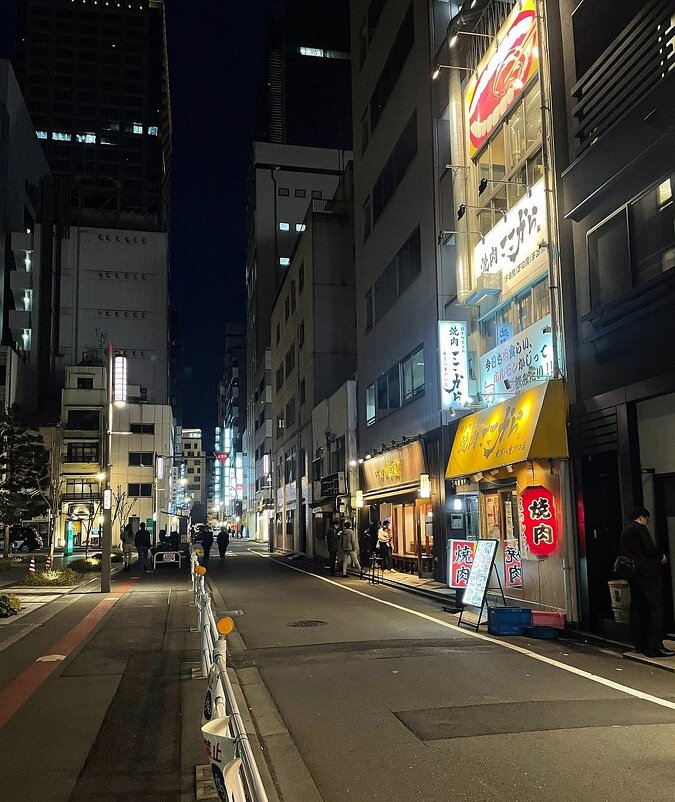 Апрельский вечер в Токио - Елена 