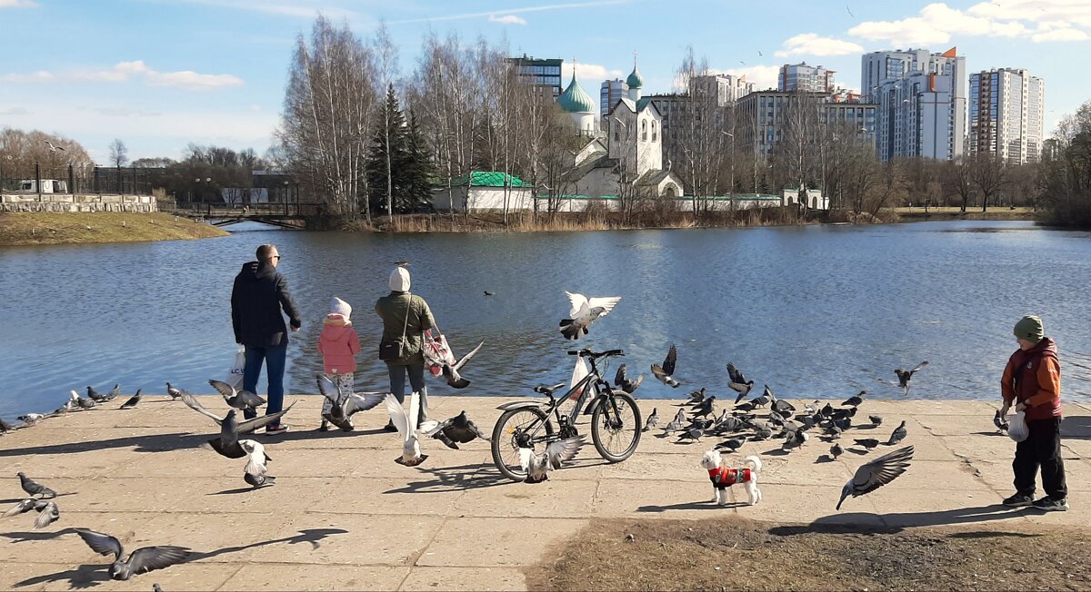 Пулковский парк - Наталья Герасимова Пулковский парк - Наталья Герасимова