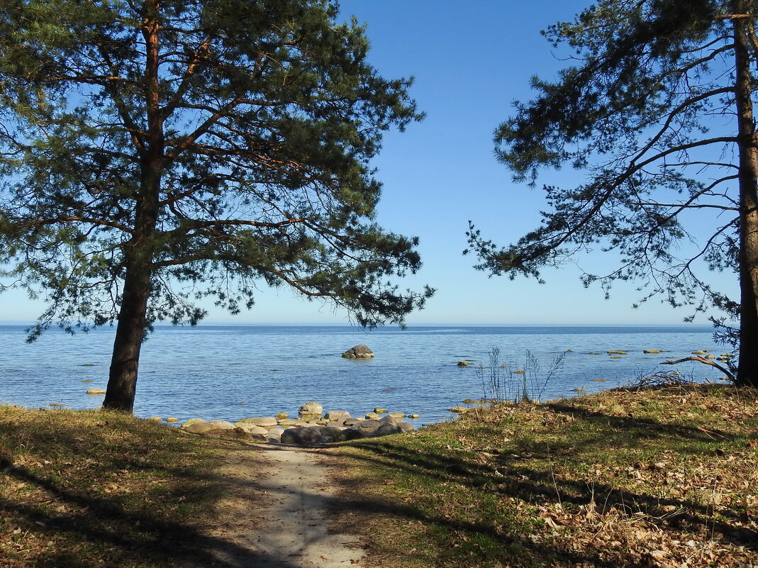 вксна - ИННА ПОРОХОВА