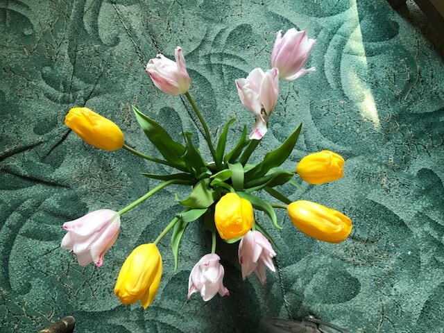 Весна не сдаётся!! - Татьяна Юрасова